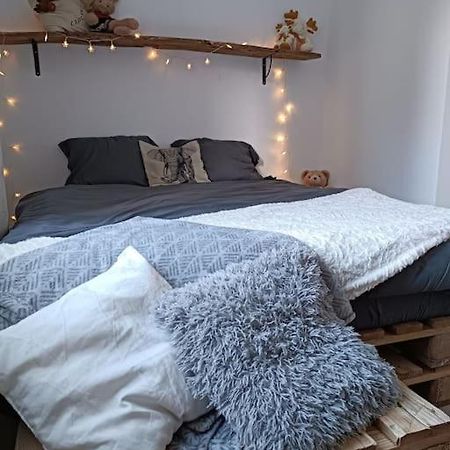 T2 Ultra Cosy En Hypercentre Apartment Tarare Ngoại thất bức ảnh