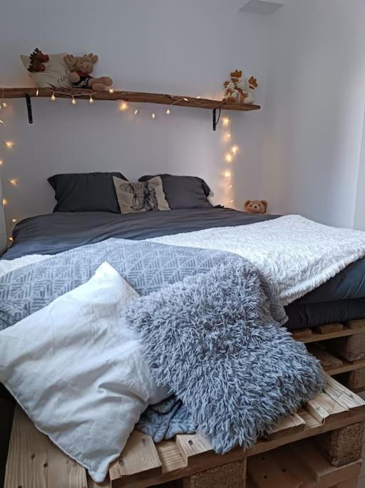 T2 Ultra Cosy En Hypercentre Apartment Tarare Ngoại thất bức ảnh