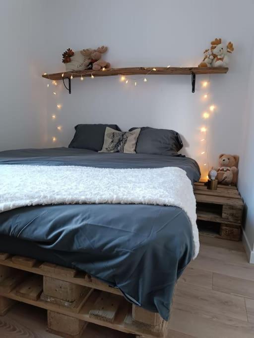 T2 Ultra Cosy En Hypercentre Apartment Tarare Ngoại thất bức ảnh